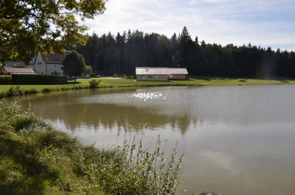 Pension Zum Grunen Wald Hotel Feuchtwangen Eksteriør billede